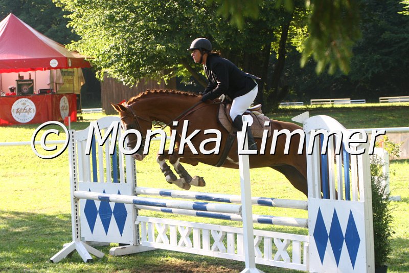 308M1080_Springpferde L.JPG